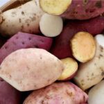 La diversidad es vida