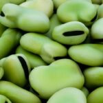 El viaje de una bolsa de plástico